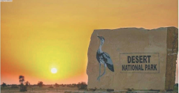 K’taka experts to visit Jaisalmer conservation park